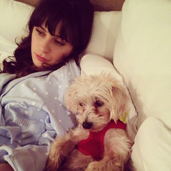 The Best Celebrity Selfies 